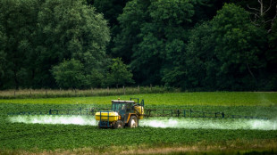 Landwirt verspr&uuml;ht Pflanzenschutzmittel: Mehrere Verletzte in s&auml;chsischer Kita