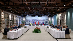Ucrania dispuesta a dar "los pasos necesarios" para la paz antes de negociación con Rusia