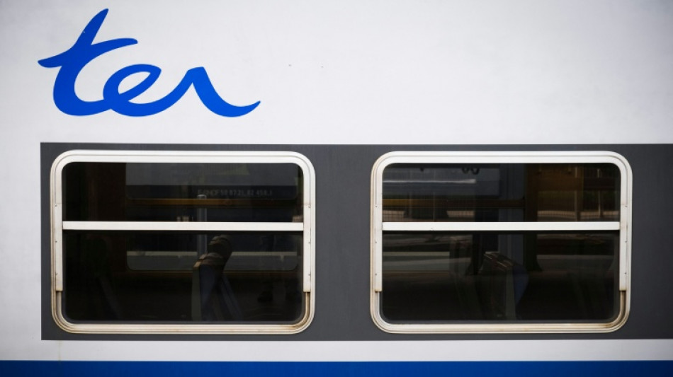 Un TER d&eacute;raille en Normandie: 44 bless&eacute;s, dont une jeune femme dans un &eacute;tat grave