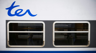 Un TER d&eacute;raille en Normandie: 44 bless&eacute;s, dont une jeune femme dans un &eacute;tat grave