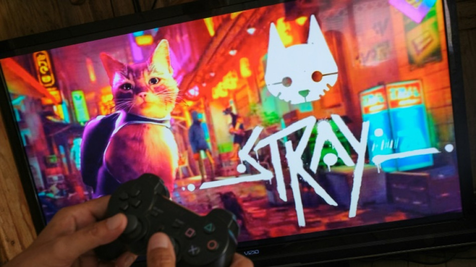 "Stray", le jeu vid&eacute;o dont raffolent les chats