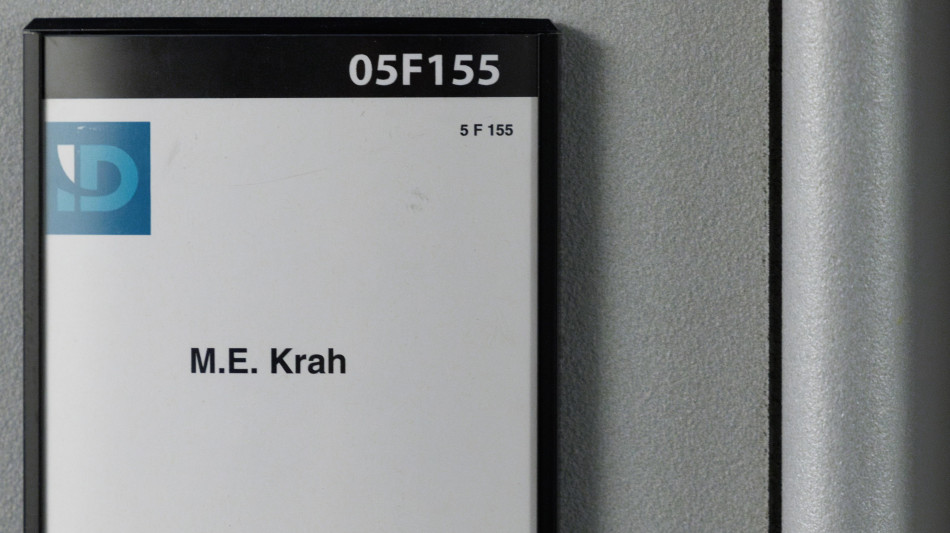 Condannato per spionaggio ex assistente eurodeputato Afd