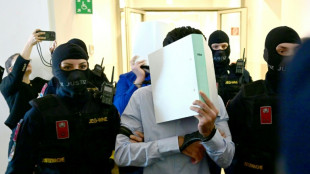 Ouverture du proc&egrave;s du suspect du projet d'attentat contre un concert de Taylor Swift &agrave; Vienne