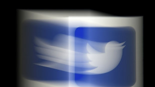 Chez Twitter, h&eacute;morragie d'employ&eacute;s, d'utilisateurs, et d'annonceurs pour Musk