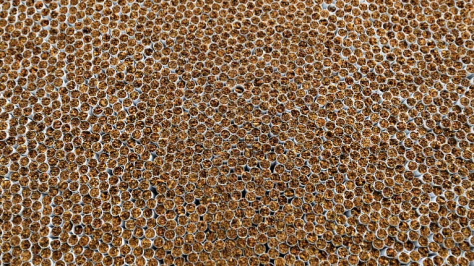 Zoll entdeckt mehr als eine Million illegale Zigaretten in Geschirrsp&uuml;lerkartons