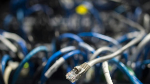 Weiter hohe Bedrohungslage durch Cyberkriminalität - aber auch Ermittlungserfolge
