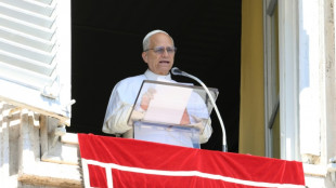 Le pape Léon XIV exprime sa solidarité avec "la terre martyrisée" de Gaza 