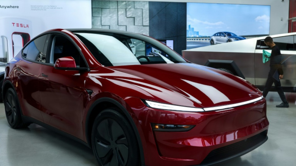 El organismo de control italiano investiga a Tesla y a otros fabricantes de veh&iacute;culos el&eacute;ctricos