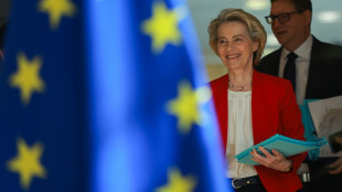 S&igrave; dei 27 al fondo Ue da 150 miliardi per la difesa