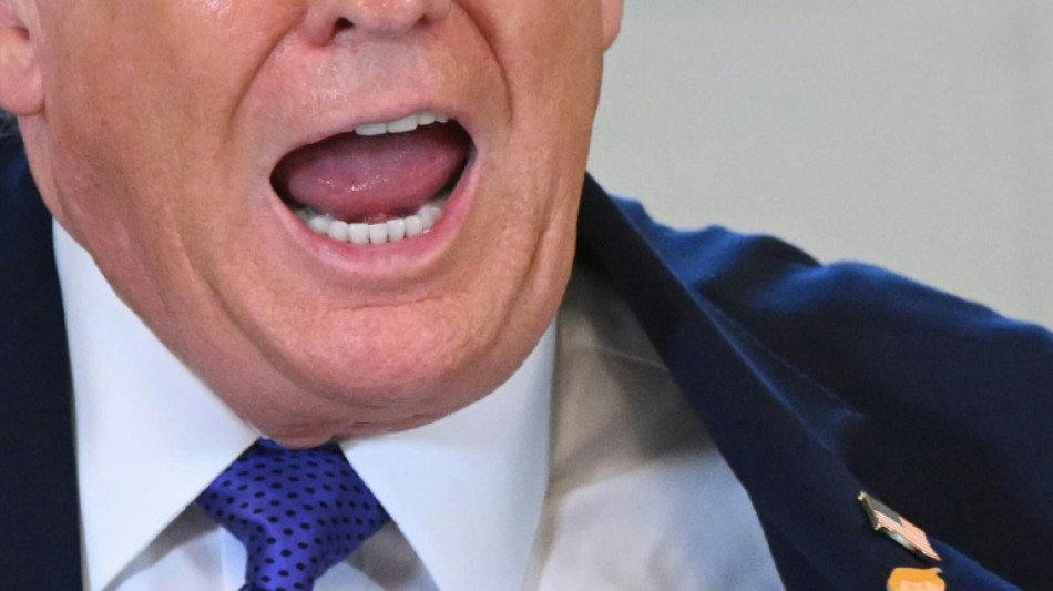 Tudo gira em torno de Trump um ano ap&oacute;s retorno ao poder, mas at&eacute; quando?