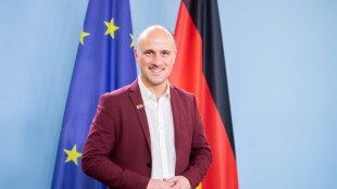 AfD-Fraktion klagt gegen Bundesregierung wegen &Auml;u&szlig;erung von Queer-Beauftragtem