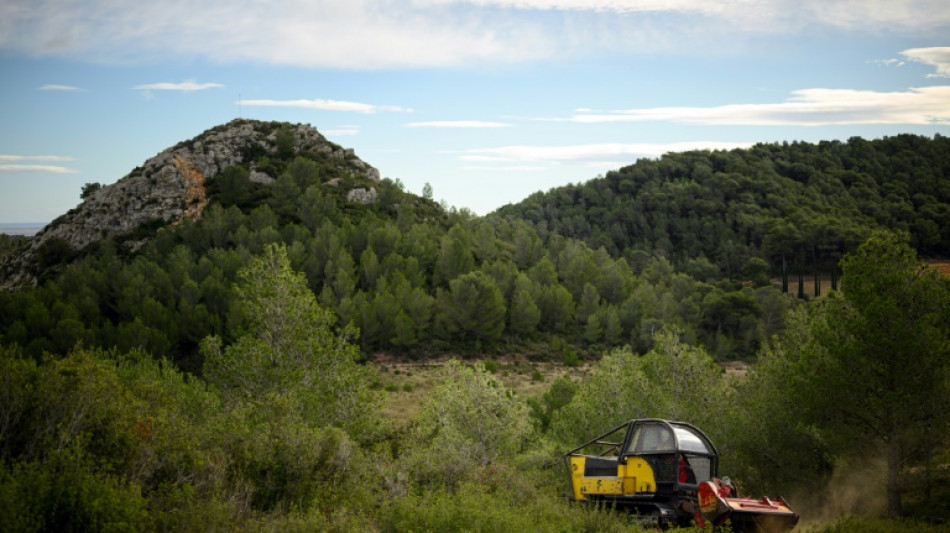 La saison des incendies se pr&eacute;pare d&egrave;s l'automne