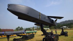 Germany blames Ukraine war talks leak on 'individual error'