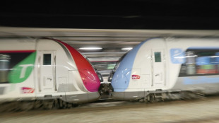 Orages: le trafic ferroviaire perturb&eacute; sur de multiples lignes en Ile-de-France