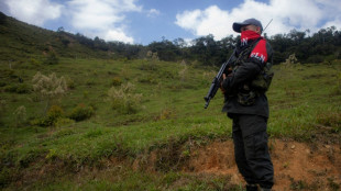 Detienen en Espa&ntilde;a a un fugitivo colombiano integrante de la guerrilla ELN
