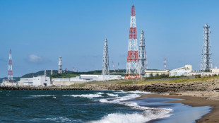 Au Japon, le retour en gr&acirc;ce du nucl&eacute;aire pour se d&eacute;faire du charbon