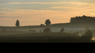 Tatvorw&uuml;rfe gegen bereits inhaftierten B&uuml;rgermeister aus Allg&auml;u ausgeweitet