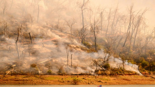 Mehr als 25.000 Menschen m&uuml;ssen vor Waldbrand in Kalifornien fliehen