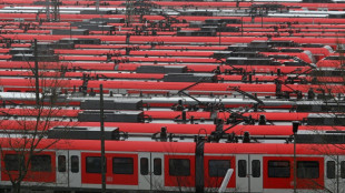 20-J&auml;hriger surft auf Z&uuml;gen hunderte Kilometer durch Deutschland
