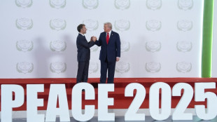 Trump proclame un "jour formidable pour le Moyen-Orient" devant un Sommet sur Gaza
