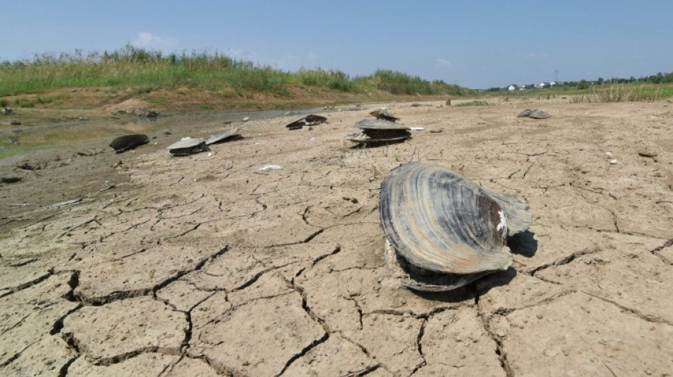 Les engagements climat "tr&egrave;s loin" de r&eacute;pondre &agrave; l'objectif de 1,5&deg;C, alerte l'ONU