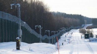 Economy not Russia is big fear on Finland's closed frontier