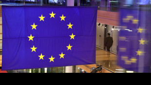 Ue, Pornhub e siti per adulti violano la legge, non tutelano i minori