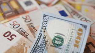 El euro volvi&oacute; a caer brevemente por debajo del d&oacute;lar