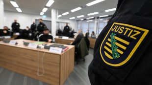 BGH best&auml;tigt Dresdner Urteil zu Einbruch in Gr&uuml;nem Gew&ouml;lbe