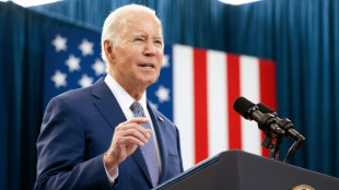 Biden, o 'anti-Trump': uma estrat&eacute;gia com futuro?