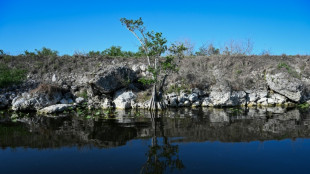 US-Nationalparks: Ab Januar deutlich höherer Eintritt für ausländische Touristen