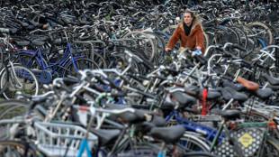 Bande soll Fahrr&auml;der in Wert von mehr als halber Million Euro gestohlen haben