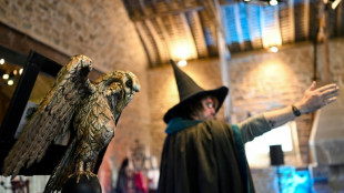 Au ch&acirc;teau du Rocher Portail, un Poudlard breton qui ne dit pas son nom