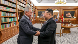Nordkorea sichert Russland im Ukraine-Krieg "bedingungslose Unterstützung" zu