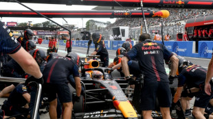 Verstappen retoma las riendas en los primeros ensayos del GP de Jap&oacute;n