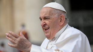 Il Papa,chi crede in Dio non pu&ograve; che ripudiare la guerra