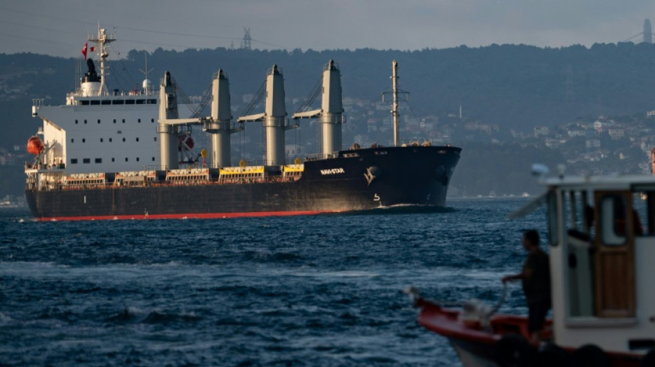 Espa&ntilde;a busca promover la importaci&oacute;n de granos ucranianos por tren