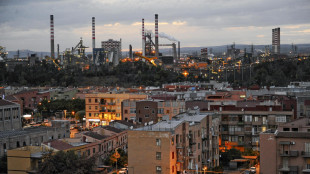 Orsini, l'acciaio e l'ex Ilva fondamentali per il Paese