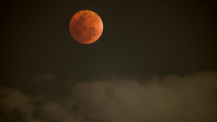 Une "Lune de sang" observée durant une éclipse totale de Lune