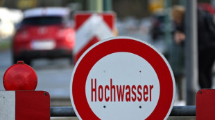 S&ouml;der zu Hochwasserlage: Sicherung von Leib und Leben hat unbedingten Vorrang