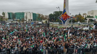 Syria's Sharaa vows to promote coexistence, reconciliation one year after Assad's ousting