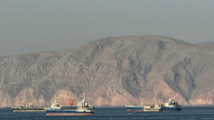 Teheran: Iran und Oman einigen sich auf neue Route durch Stra&szlig;e von Hormus