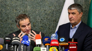 Ir&aacute;n y el OIEA quieren cerrar temas pendientes para relanzar acuerdo nuclear