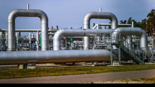 Il prezzo del gas chiude in rialzo a 33,69 euro