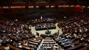 Fumata bianca in Parlamento, al Csm eletto Daniele Porena