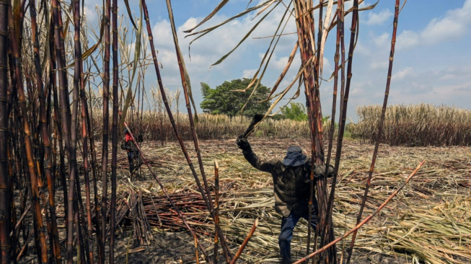 Ind&iacute;genas y afros atizan su disputa por la tierra en Colombia 