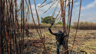 Ind&iacute;genas y afros atizan su disputa por la tierra en Colombia 