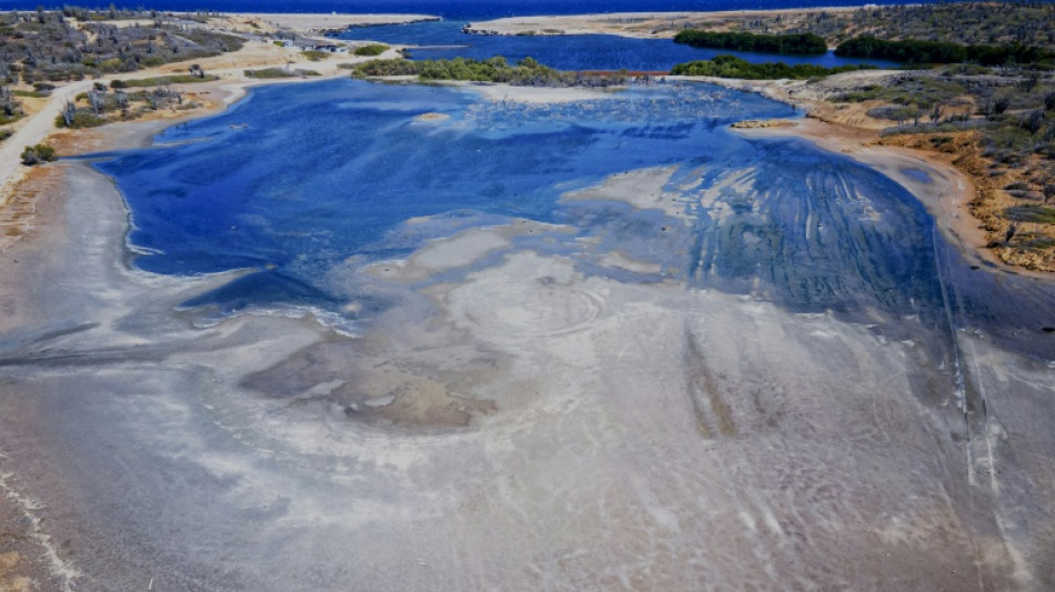 Netherlands faces 'test case' climate verdict over Caribbean island