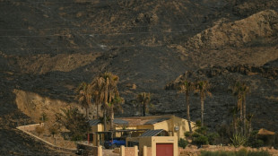 Fortschritte bei Kampf gegen t&ouml;dlichen Waldbrand in Andalusien