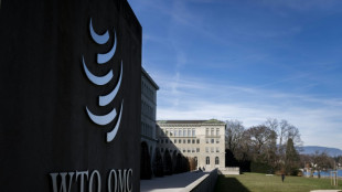 WTO hikes 2026 trade growth forecast on AI boom